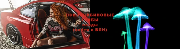 сатива Переславль-Залесский