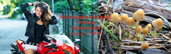 винт Армянск