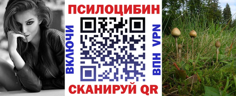 ссылка на мегу ONION  цена наркотик  Саяногорск  Галлюциногенные грибы ЛСД 